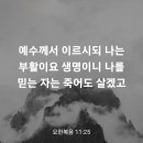 요한복음 11장25절~26절 이미지