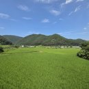 두서면보건지소 네이버블로그