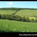 화대농장 이미지