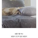 유천동솜틀집