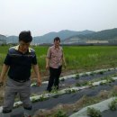 찬수농장 이미지