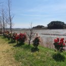 잠꽃펜션 이미지