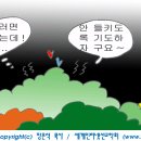 [만화설교] 교회 使命意識 이미지