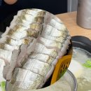 장어나라 이미지