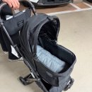 4345 | [리뷰] 2026 케이펫페어 광주 후기 | 사전등록•참가업체•주차