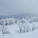 12월(1주)5일 제92차 함백산(1,572.9m) 정기산행 안내 이미지