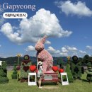 충무한우농장 | 가평 여행 아난티코드 조식 후기