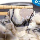 우리집수산 네이버블로그
