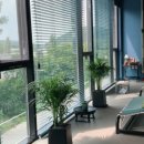 카페힐 - 포천시 금화봉길 651-7 | 카페힐