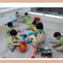 꼬마대통형 Daum카페