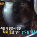 화승꽈배기 이미지
