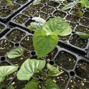 점말농장 이미지