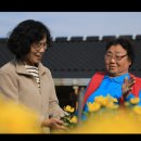 도마 마을회관 이미지