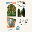 계절식탁향토 | 제주 사려니숲길 제주도 절물자연휴양림 계절식탁 제주 여름 가볼만한곳