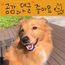 공감