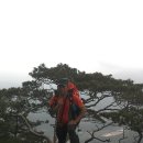 (주)사계절 Daum카페