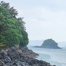 새울신협 이미지