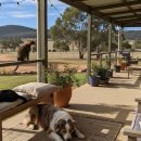 코스트밸리펜션 | 호주 펫숙소추천, "시드니 오페라 하우스가 내 집 앞마당?" 하버 뷰를 감상하며 댕댕이와 산책하기 좋은...