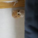 무등산반야산장 | 무등산 운치를 바라보며 백숙먹은 후기~!