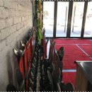 덕유산스키샵, 콘도 이미지