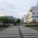 새 발레학원 한 달 후기 _ 엘발레스튜디오 저녁수업 추천 쌤