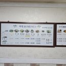 삼포복집 이미지