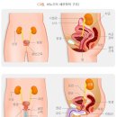 온기한의원 이미지
