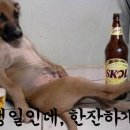 먹빵브레드 네이버블로그
