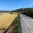 임천농장 이미지