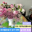 청라중앙약국 이미지