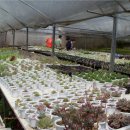 아담농장 이미지