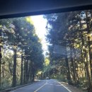 오크라리조트 이미지