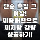 스마트 | 아침·저녁 기록만 했는데 생활패턴이 달라졌어요[100BURN 스마트 체중계 후기]