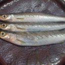 사랑에 꼬치다 이미지