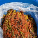 동치미 홍갓물김치 조선갓김치 이미지