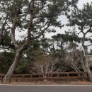 연우민박 이미지