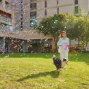 소노펫 보딩 이미지