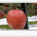 소정농장 이미지