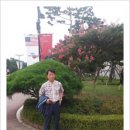 한길 행정사사무소 이미지