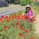 성당초등학교 이미지
