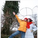 그랑삐아또 이미지