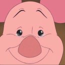 비채플러스 이미지