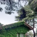 화진포 역사안보전시관 이미지