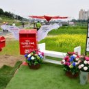 (11/19) 양모펠트_키링 이미지