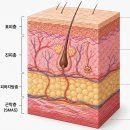 명동스킨보톡스 효과? 후기보다 중요한 건 따로 있습니다