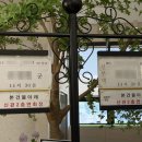결혼식 당일의 기록 3. 누에보 스냅 후기(아이폰스냅)