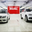 지성카모터스 이미지