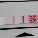 연세가산산부인과의원 이미지