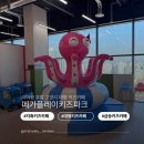 메가 플레이 | 신상 지축키즈카페 메가플레이 솔직 후기와 재방문100% 이유!