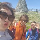 평원애견 이미지